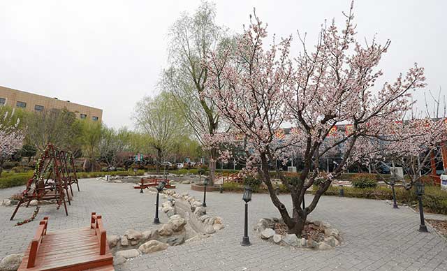 西安市·蓝田县·蓬腾生态拓展训练基地